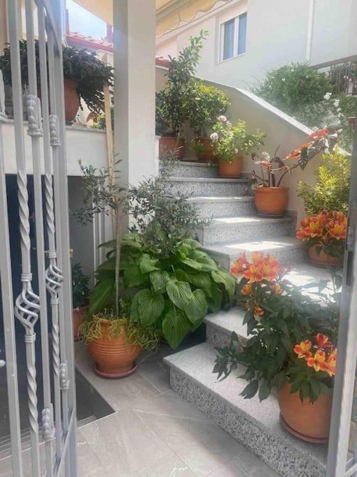 Lovely Apartment In Litoxoro Litochoro Exterior photo